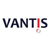 vantis consulting group logo image