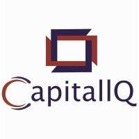 capitaliq logo image