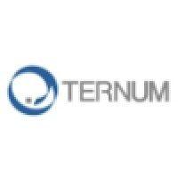 ternum group logo image