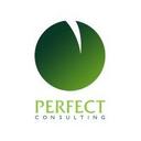 logo of Perfect Consulting