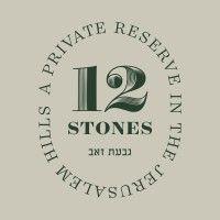 12 stones logo image