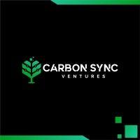 carbon sync logo image