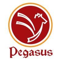 pegasus consultancy (pvt.) ltd logo image