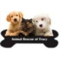 animal rescue of tracy logo image