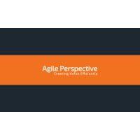 agile perspective logo image