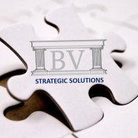 bv strategic solutions logo image