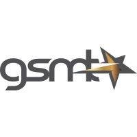 gsmt - goldstar metal traders ltd logo image