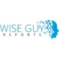 wiseguyreports (wgr) part of wiseguy research consultants pvt. ltd. logo image