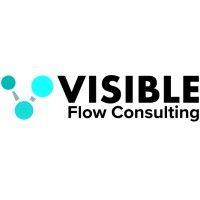 visible flow consulting logo image