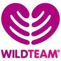 wildteam logo image