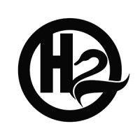 h2 group logo image