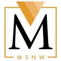 msnw group, llc logo image