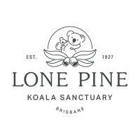 lone pine koala sanctuary