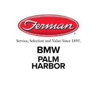 ferman bmw logo image