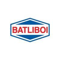 batliboi ltd logo image