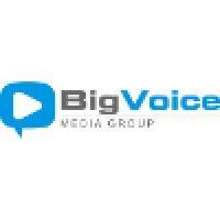 bigvoice media group logo image