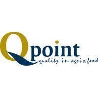 q-point b.v. logo image