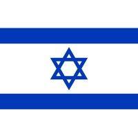 government of israel logo image