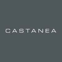 castanea partners logo image