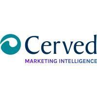 cerved marketing intelligence logo image