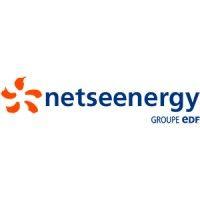 netseenergy - groupe edf logo image