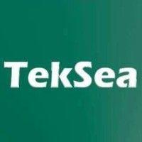 teksea logo image