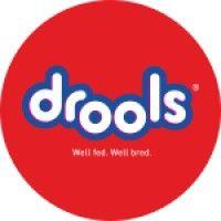 drools logo image