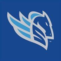 salt lake stallions logo image