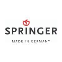 springer aktiv ag logo image