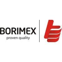 borimex zk sp. z o.o. logo image