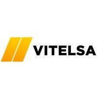 vitelsa logo image