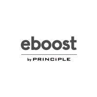 principle america - eboost consulting logo image