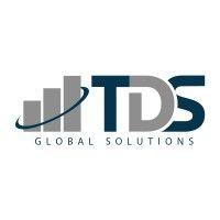 tds global solutions logo image