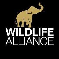 wildlife alliance logo image