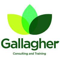 gallagher consulting and training logo image