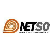 netso ® logo image