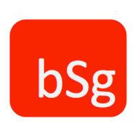 brand security group llc logo image