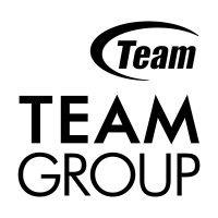 team group inc. logo image