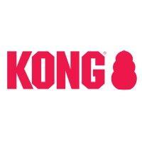 kong company