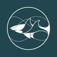 shark conservation fund (scf) logo image