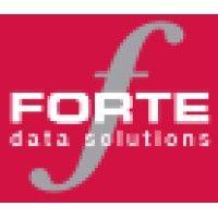 forte data solutions logo image