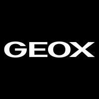 geox logo image