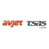 avjet holding logo image