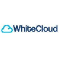 whitecloud digital solutions logo image