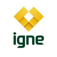 igne logo image