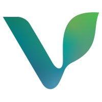 verdani partners logo image