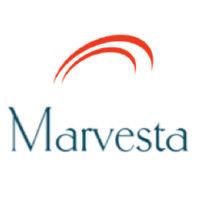 marvesta logo image