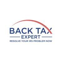 back tax expert logo image