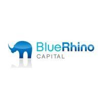 blue rhino capital logo image