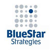 blue star strategies, llc logo image